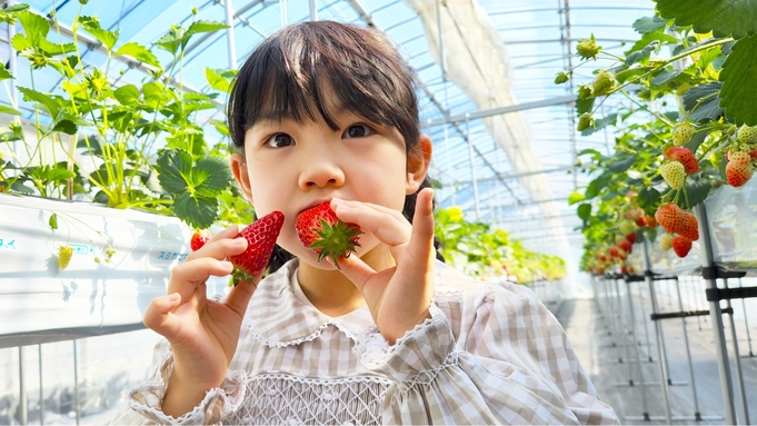 【いちご狩り】甘〜い苺が食べ放題★いちご狩りの後には自慢の温泉でリラックス★長良会席